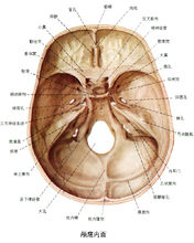 腦梗塞后遺癥